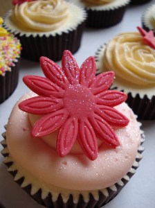 Pink gerbera and tube swirl!