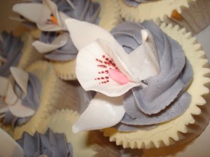 Cupcake and an orchid
