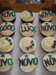 Novo cupcakes